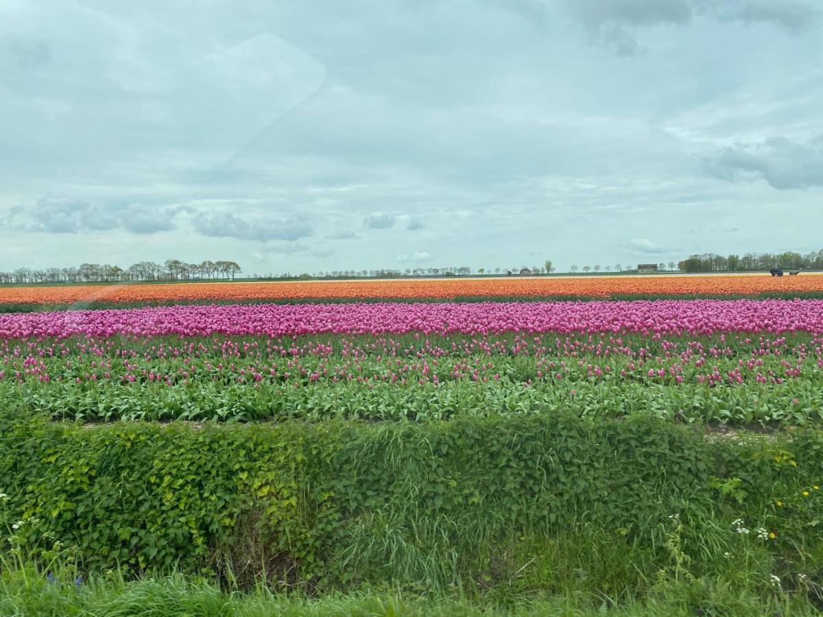 Krabbenkreek 2 Villa Sint Annaland Dış mekan fotoğraf