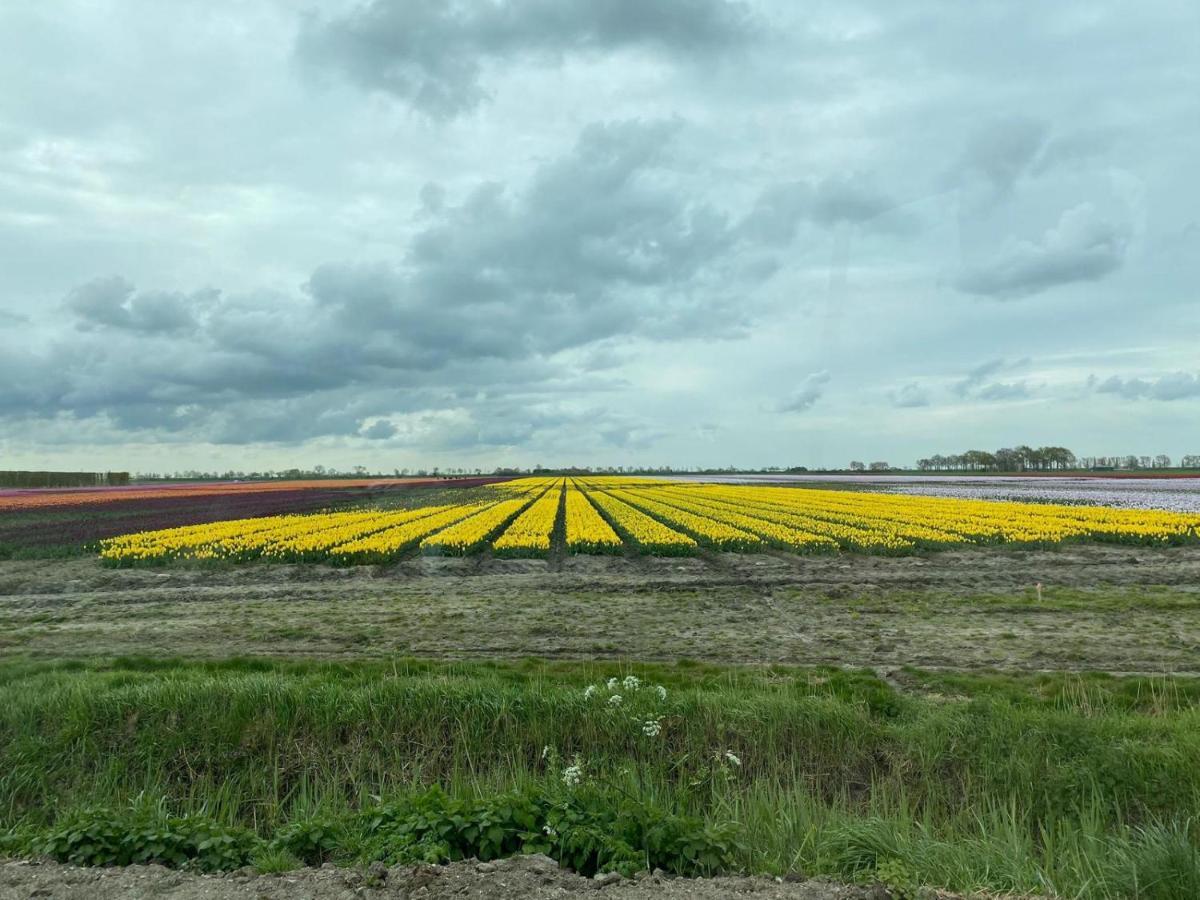 Krabbenkreek 2 Villa Sint Annaland Dış mekan fotoğraf