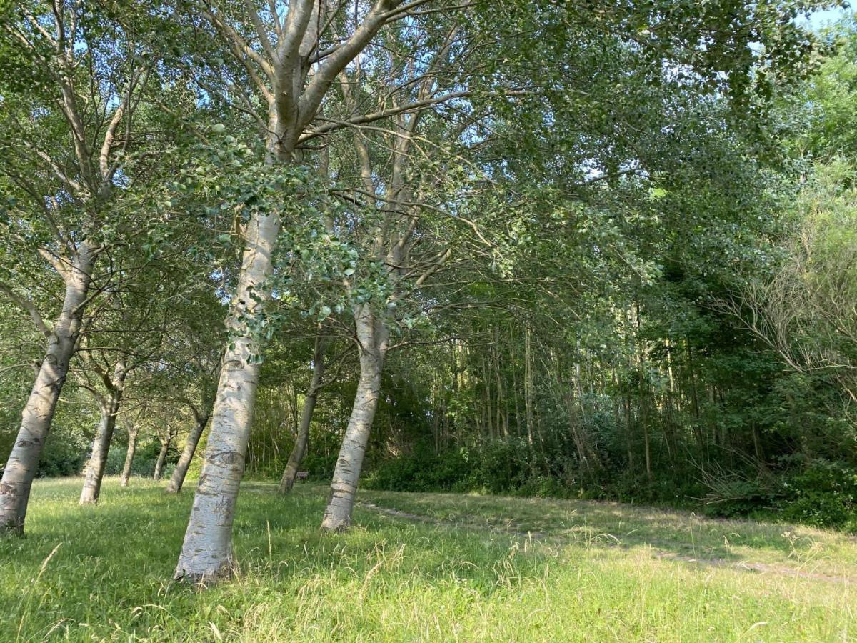 Krabbenkreek 2 Villa Sint Annaland Dış mekan fotoğraf