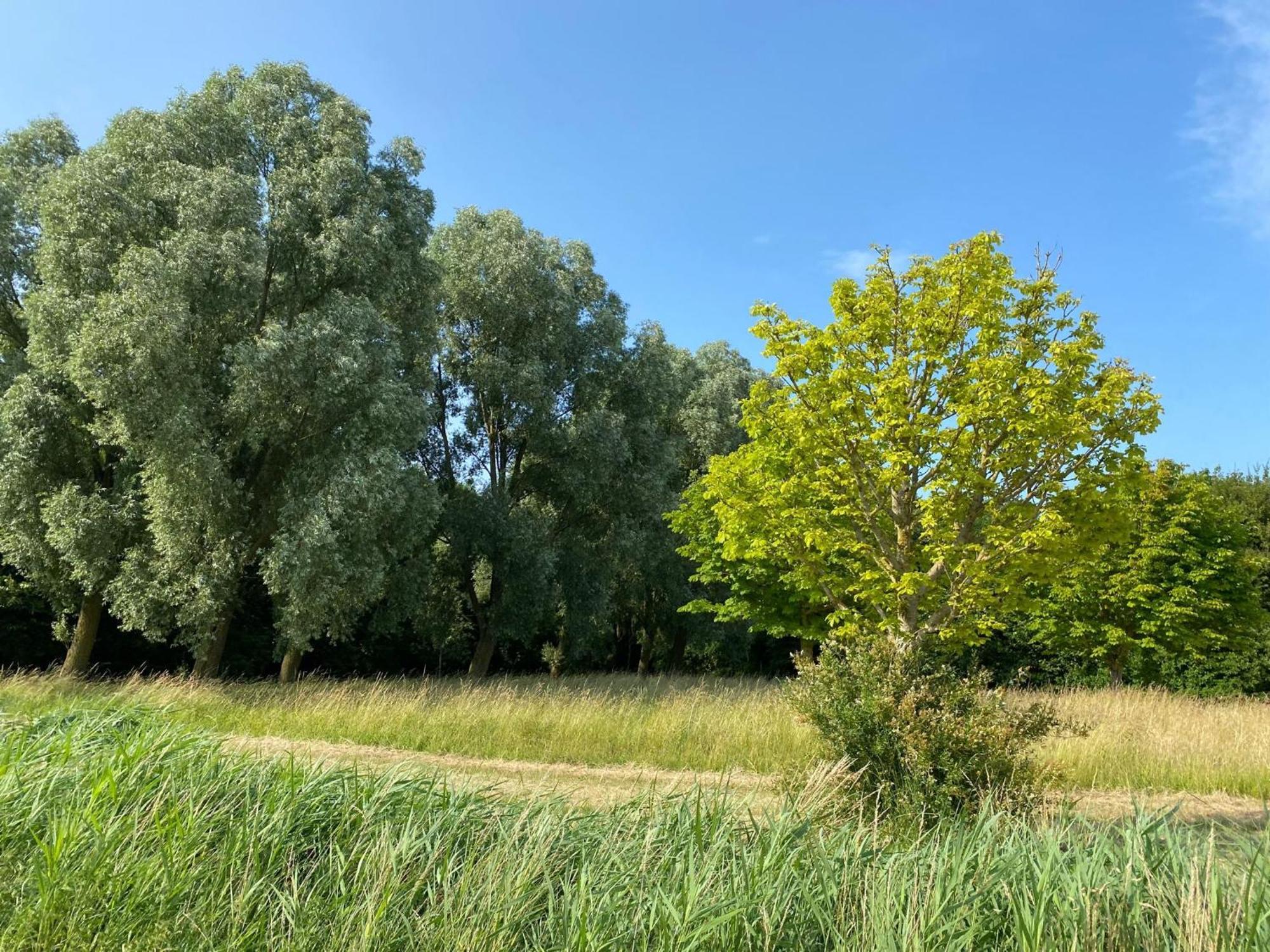 Krabbenkreek 2 Villa Sint Annaland Dış mekan fotoğraf