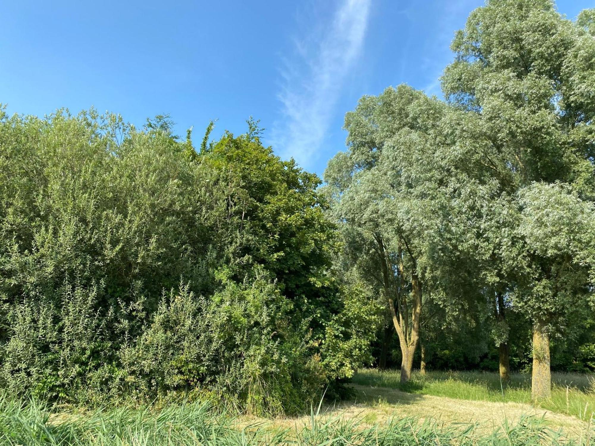 Krabbenkreek 2 Villa Sint Annaland Dış mekan fotoğraf