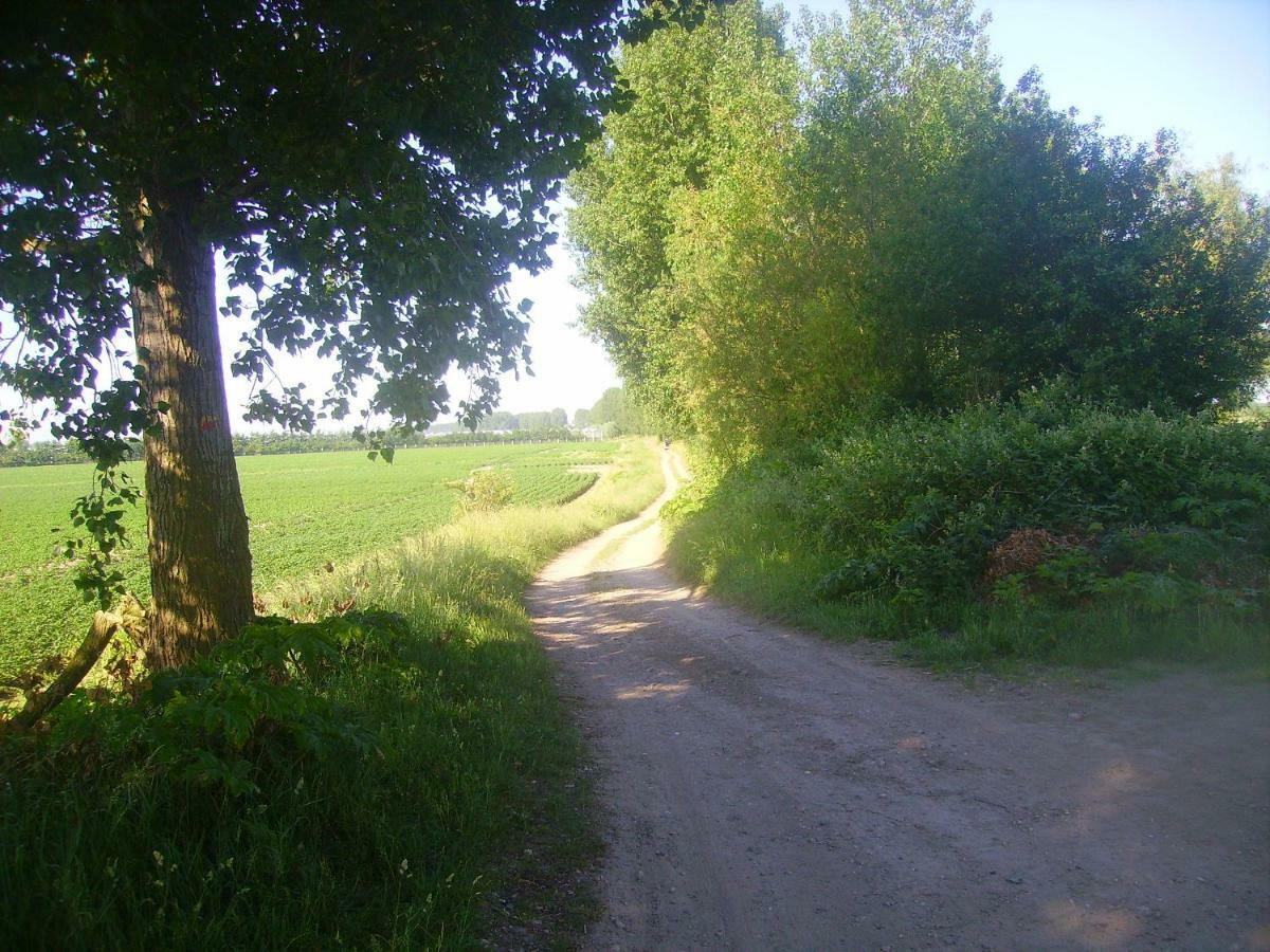 Krabbenkreek 2 Villa Sint Annaland Dış mekan fotoğraf